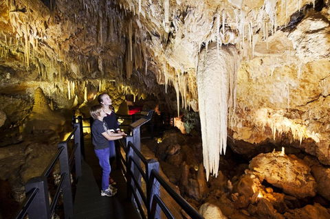 Ngilgi Cave - Sunshine Coast Guide 2