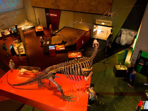 Queensland Museum - Sunshine Coast Guide 2