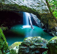 Springbrook - Sunshine Coast Guide