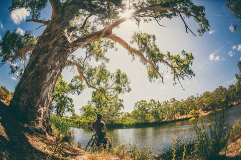 Sturt Gorge Recreation Park - Sunshine Coast Guide 0