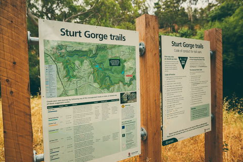 Sturt Gorge Recreation Park - Sunshine Coast Guide 2