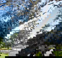 The Herbig Family Tree