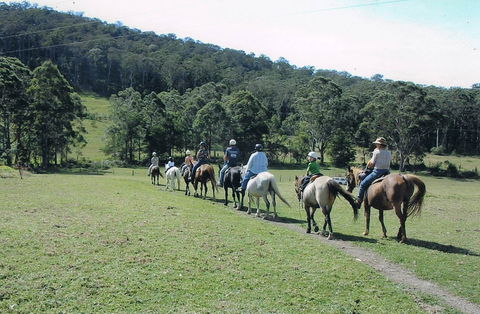 Timbertops - Horse Riding - Sunshine Coast Guide 0