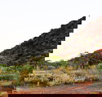 Whyalla Conservation Park - Sunshine Coast Guide