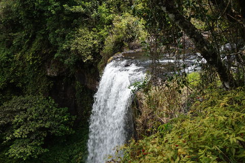 Zillie Falls - Sunshine Coast Guide 0