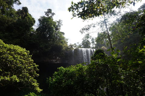 Zillie Falls - Sunshine Coast Guide 1