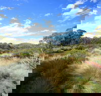 Bullocks walking track - Sunshine Coast Guide