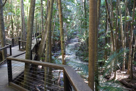 Central Station - Sunshine Coast Guide 2
