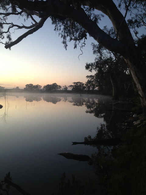 Cockatoo Lake Recreation Reserve - Sunshine Coast Guide 0