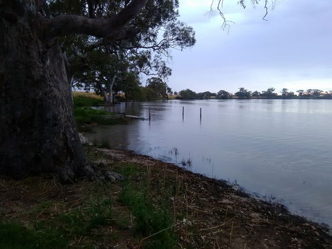 Cockatoo Lake Recreation Reserve - Sunshine Coast Guide 1