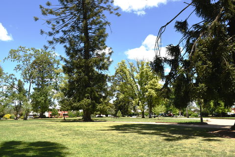 Collins Park - Sunshine Coast Guide 2