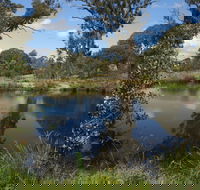 Cooleman Ridge - Sunshine Coast Guide