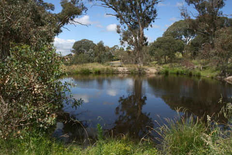 Cooleman Ridge - Sunshine Coast Guide 0