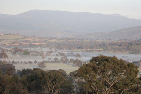 Cooleman Ridge - Sunshine Coast Guide 2