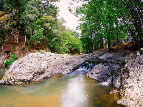 Currumbin Rock Pools - Sunshine Coast Guide 0