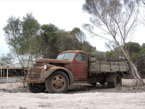 Emu Ridge Eucalyptus Pty Ltd - Sunshine Coast Guide 2