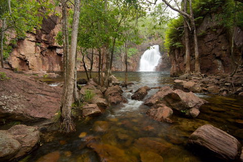 Florence Falls - Sunshine Coast Guide 0