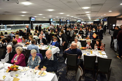 Geelong Greyhound Racing Club - The Beckley Centre - Sunshine Coast Guide 1