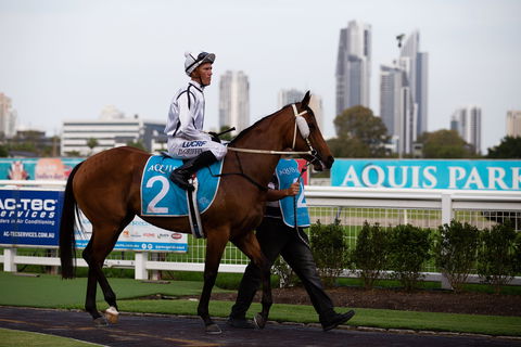 Gold Coast Turf Club - Sunshine Coast Guide 2