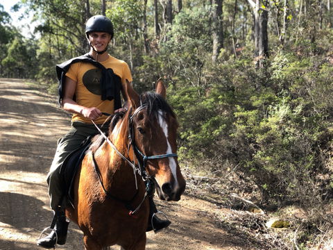 Horse Riding Tasmania - Sunshine Coast Guide 2