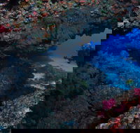 Hutchinson Shoal Dive Site - Sunshine Coast Guide