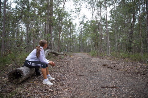 Ironbark Ridge And Spotted Gum Walking Trails - Sunshine Coast Guide 1