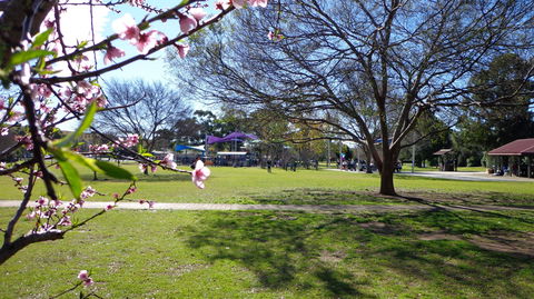 Koshigaya Park - Sunshine Coast Guide 0