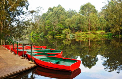 Lane Cove National Park - Sunshine Coast Guide 0