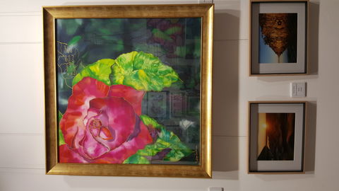 Macleay Valley Community Art Gallery - Sunshine Coast Guide 0