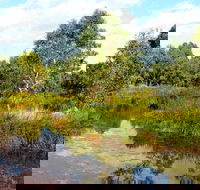 Mansfield Mullum Wetlands - Sunshine Coast Guide