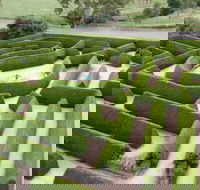 Mintaro Maze - Sunshine Coast Guide