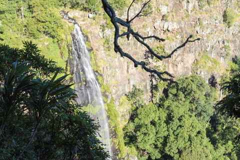 Morans Falls Track, Lamington National Park - Sunshine Coast Guide 0