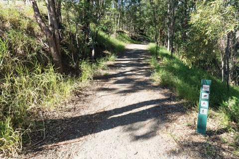 Mt Coot-tha Tourist Drive - Sunshine Coast Guide 2