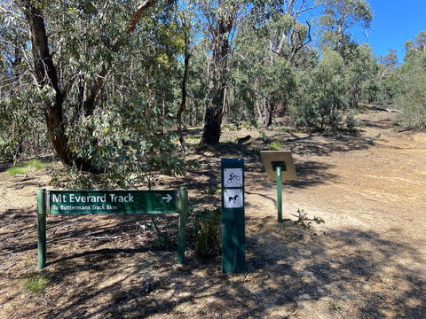 Mt Everard Circuit - Sunshine Coast Guide 1