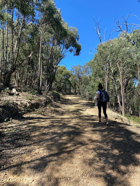 Mt Everard Circuit - Sunshine Coast Guide 2
