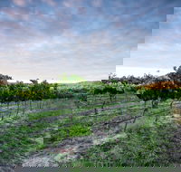 Nature and Foodies Trail - Sunshine Coast Guide
