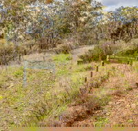 Old Mountain Road Walking Track - Sunshine Coast Guide