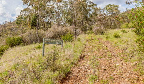 Old Mountain Road Walking Track - Sunshine Coast Guide 0