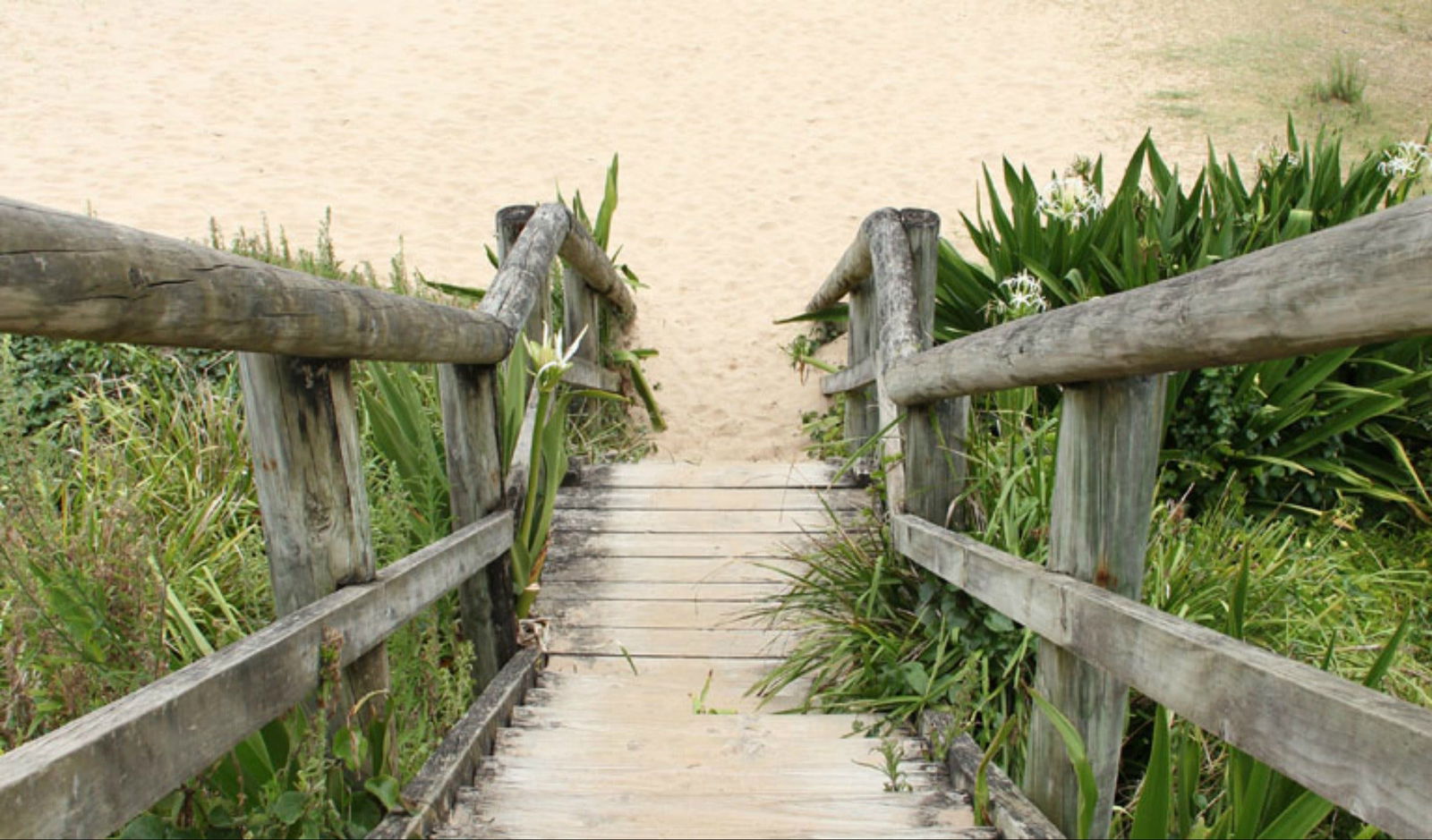  Sunshine Coast Guide