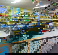 Reef Teach - Sunshine Coast Guide