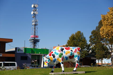 Shepparton Tower - Sunshine Coast Guide 1