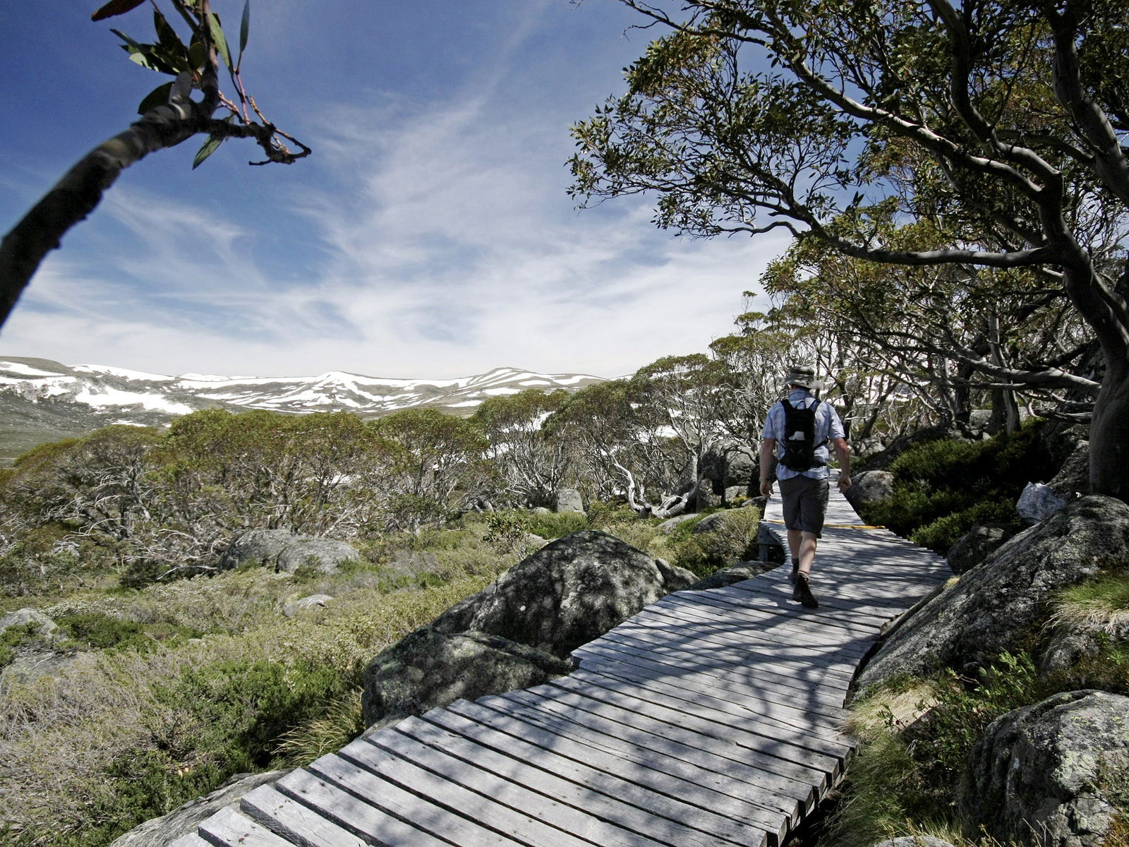 Snowy Mountains NSW Sunshine Coast Guide