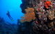 The Blowhole - thumb 1