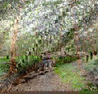 Venman Bushland National Park - Sunshine Coast Guide
