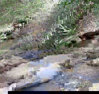Bomaderry Creek Regional Park - Sunshine Coast Guide