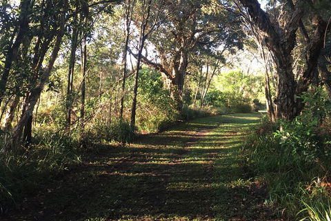 Coffs Harbour To Sawtell Bike Ride - Sunshine Coast Guide 7