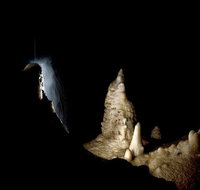 Jenolan Caves Extended Temple of Baal Cave Tour
