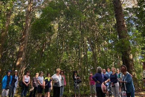Breakfast Bushwalk Tour In Captain Cook\'s Monument - Sunshine Coast Guide 0