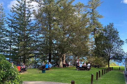 Breakfast Bushwalk Tour In Captain Cook\'s Monument - Sunshine Coast Guide 1