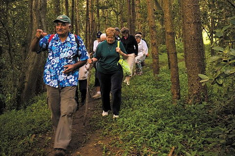 Breakfast Bushwalk Tour In Captain Cook\'s Monument - Sunshine Coast Guide 4